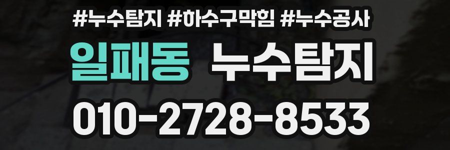 일패동 누수탐지업체