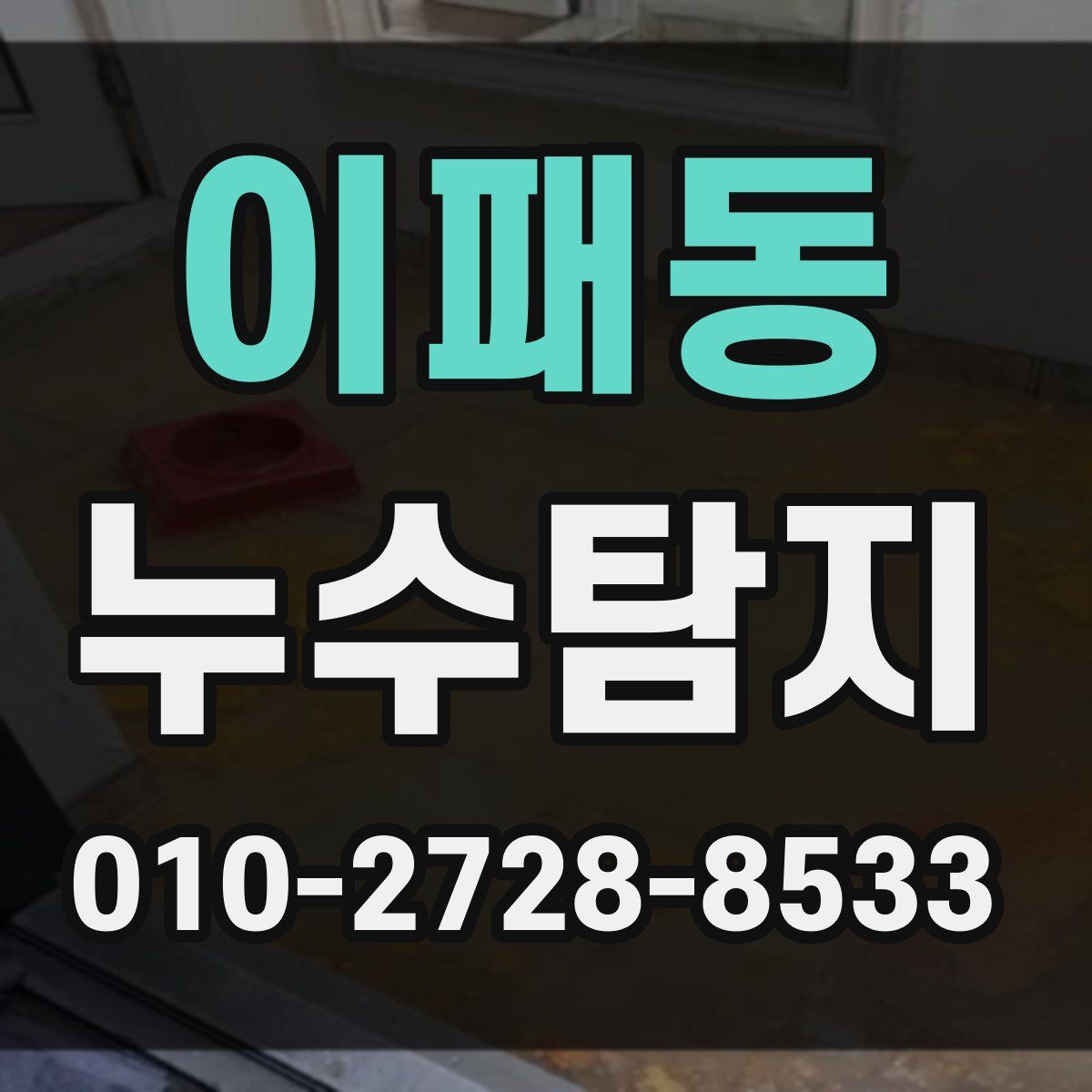 이패동 누수탐지