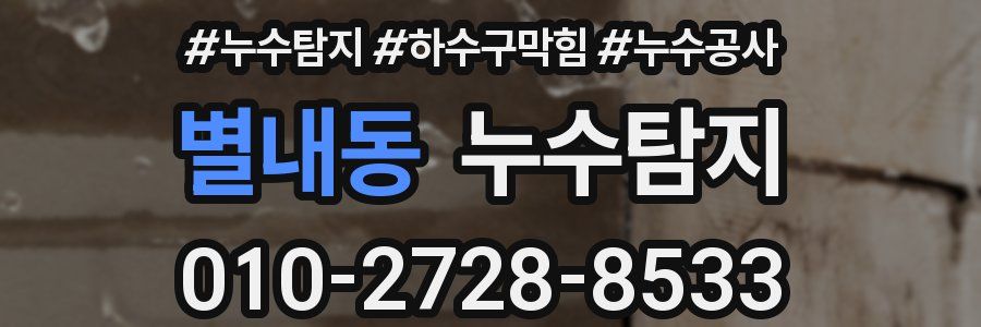 별내동 누수탐지업체