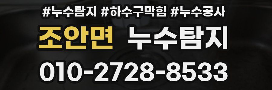 조안면 누수탐지업체