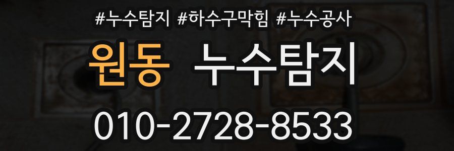 원동 누수탐지업체