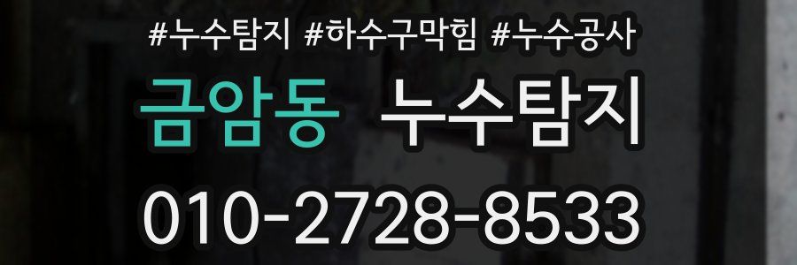 금암동 누수탐지업체