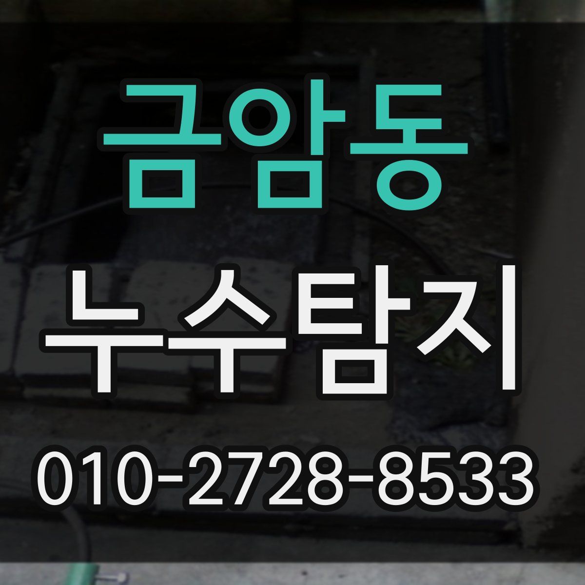 금암동 누수탐지