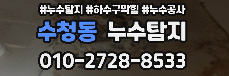 수청동 누수탐지업체