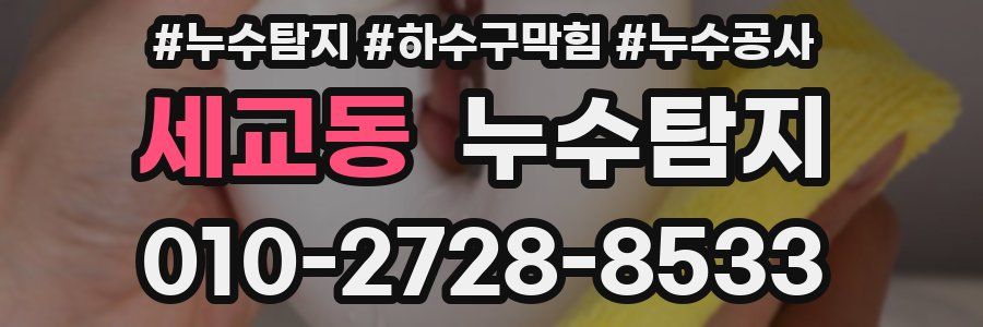 세교동 누수탐지업체