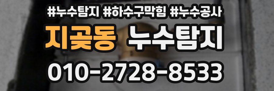 지곶동 누수탐지업체