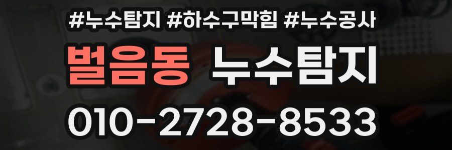 벌음동 누수탐지업체