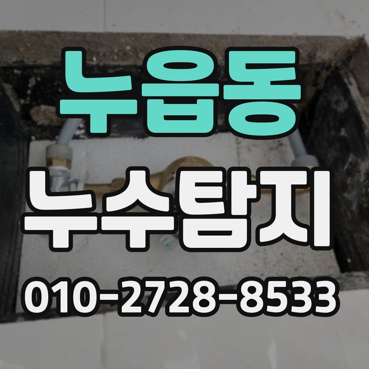 누읍동 누수탐지