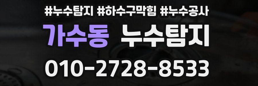가수동 누수탐지업체
