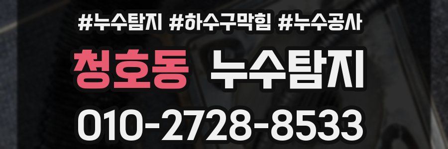 청호동 누수탐지업체