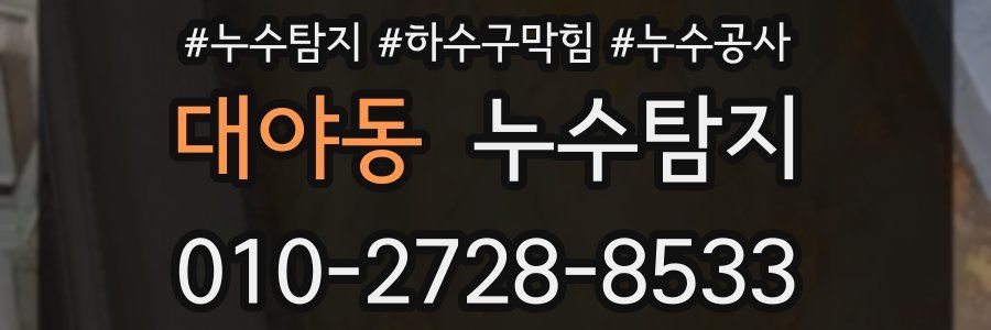 대야동 누수탐지업체
