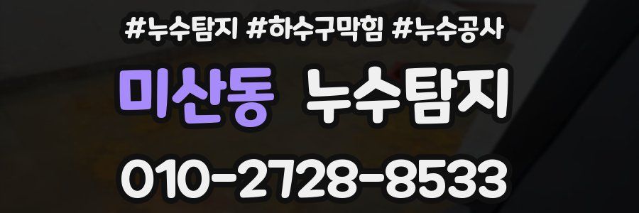 미산동 누수탐지업체