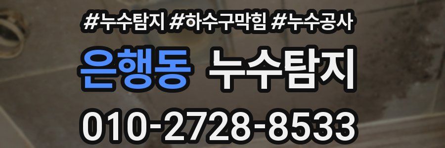 은행동 누수탐지업체