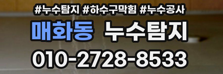 매화동 누수탐지업체