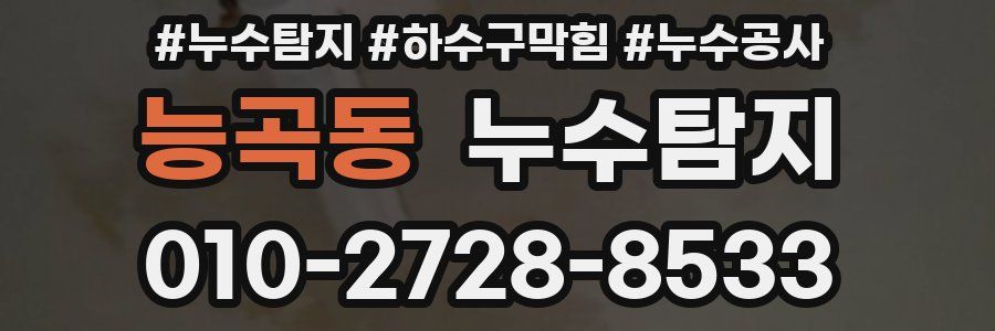 능곡동 누수탐지업체