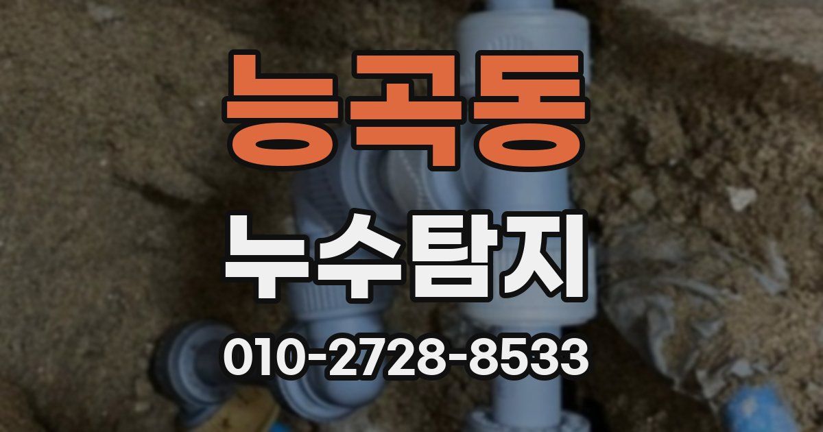 능곡동 누수공사