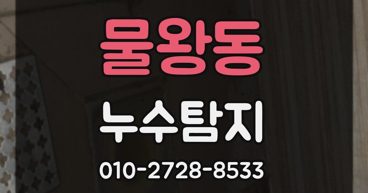 물왕동 누수공사