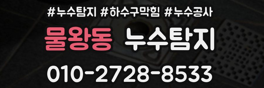물왕동 누수탐지업체