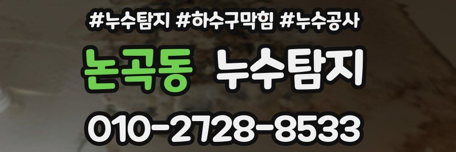 논곡동 누수탐지업체