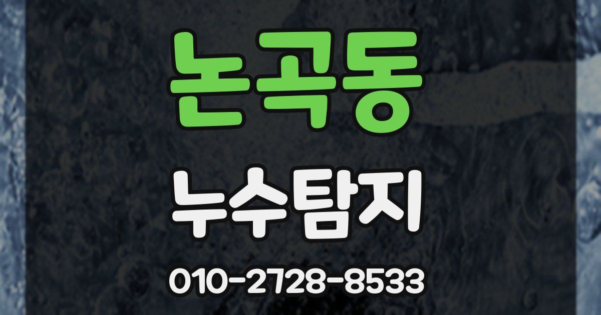 논곡동 누수공사