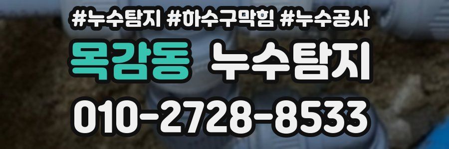 목감동 누수탐지업체