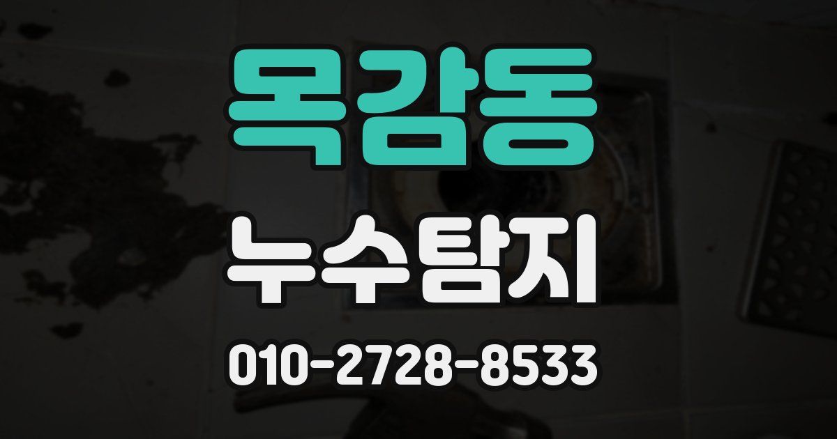 목감동 누수공사