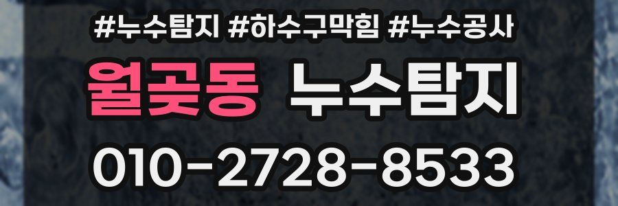 월곶동 누수탐지업체