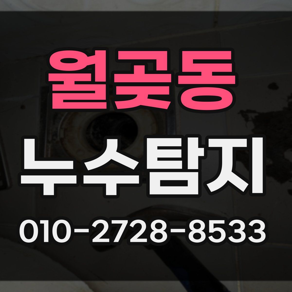 월곶동 누수탐지