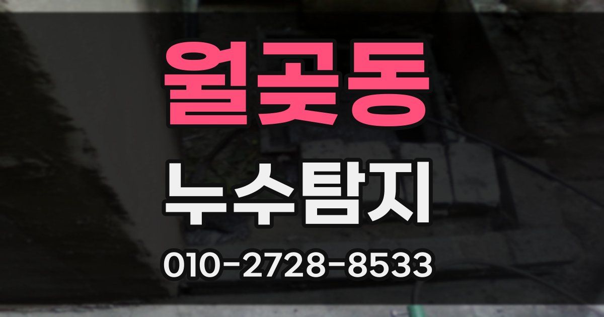 월곶동 누수공사