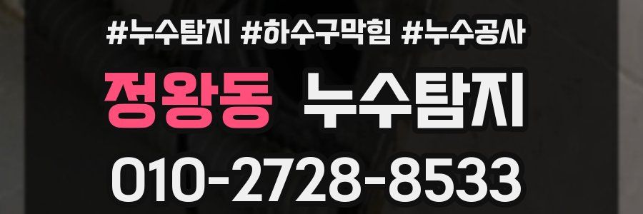 정왕동 누수탐지업체