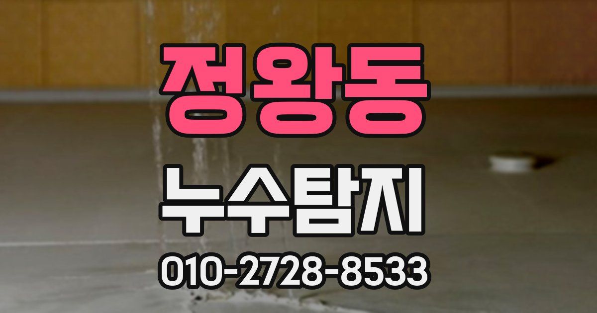 정왕동 누수공사