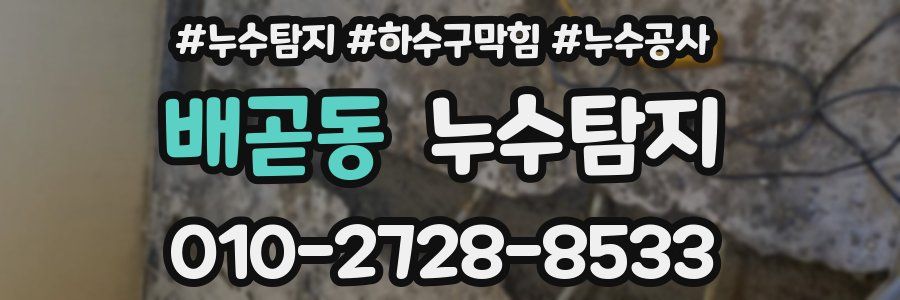 배곧동 누수탐지업체