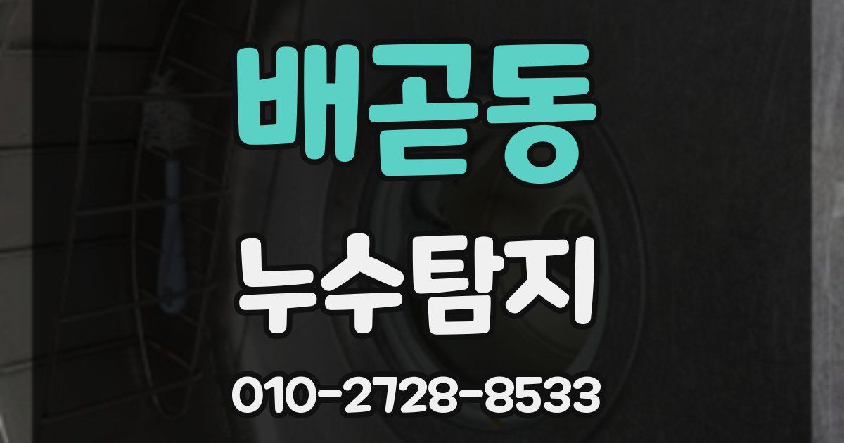 배곧동 누수공사