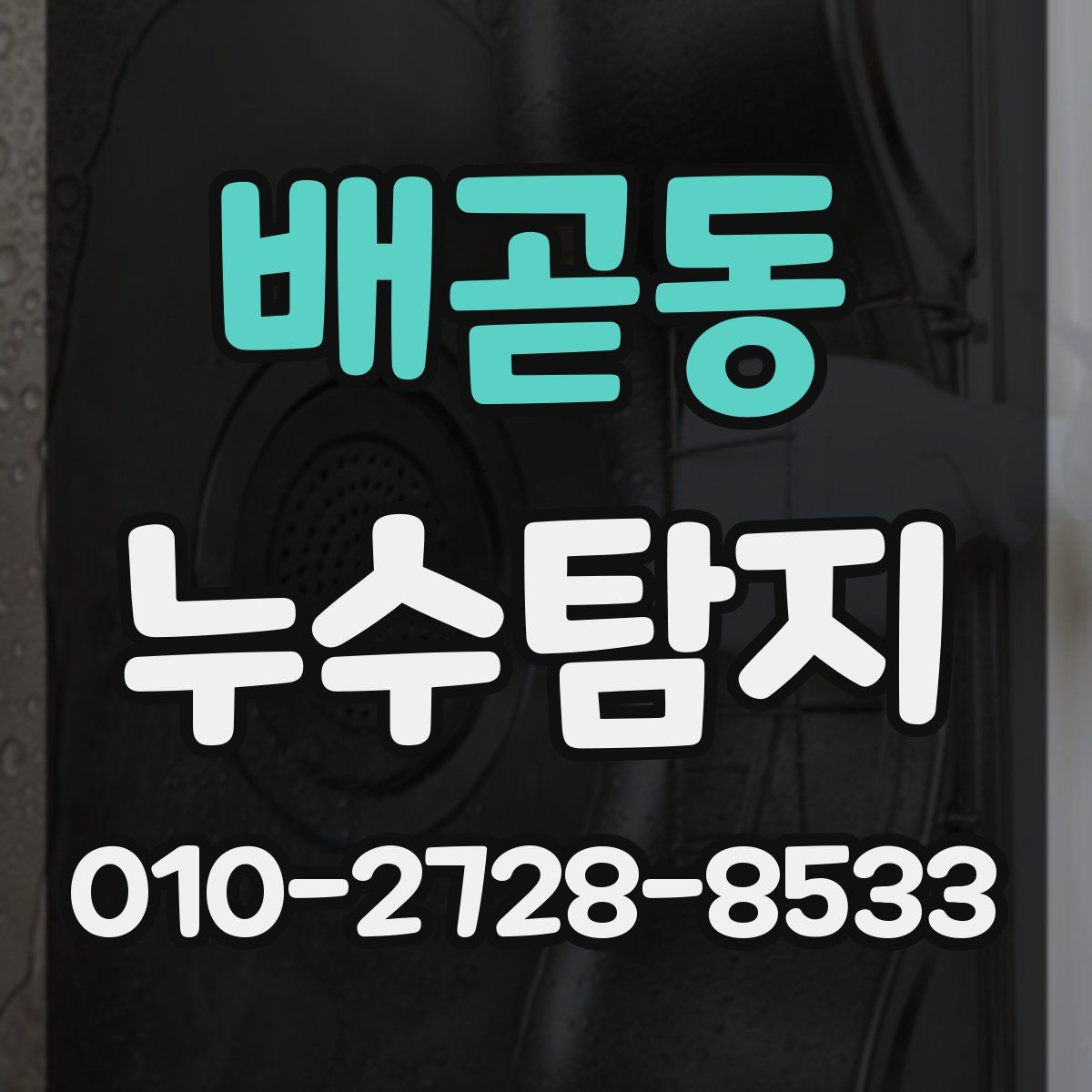 배곧동 누수탐지