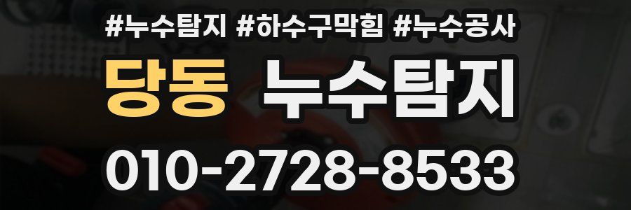 당동 누수탐지업체
