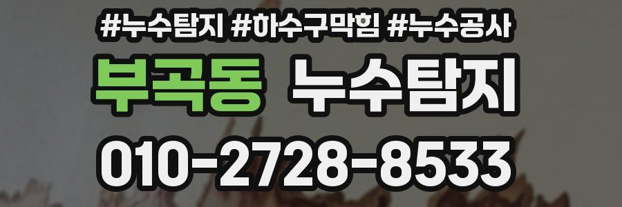 부곡동 누수탐지업체