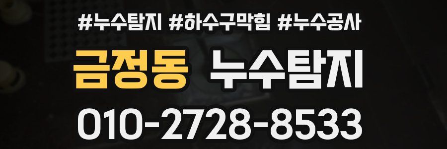 금정동 누수탐지업체