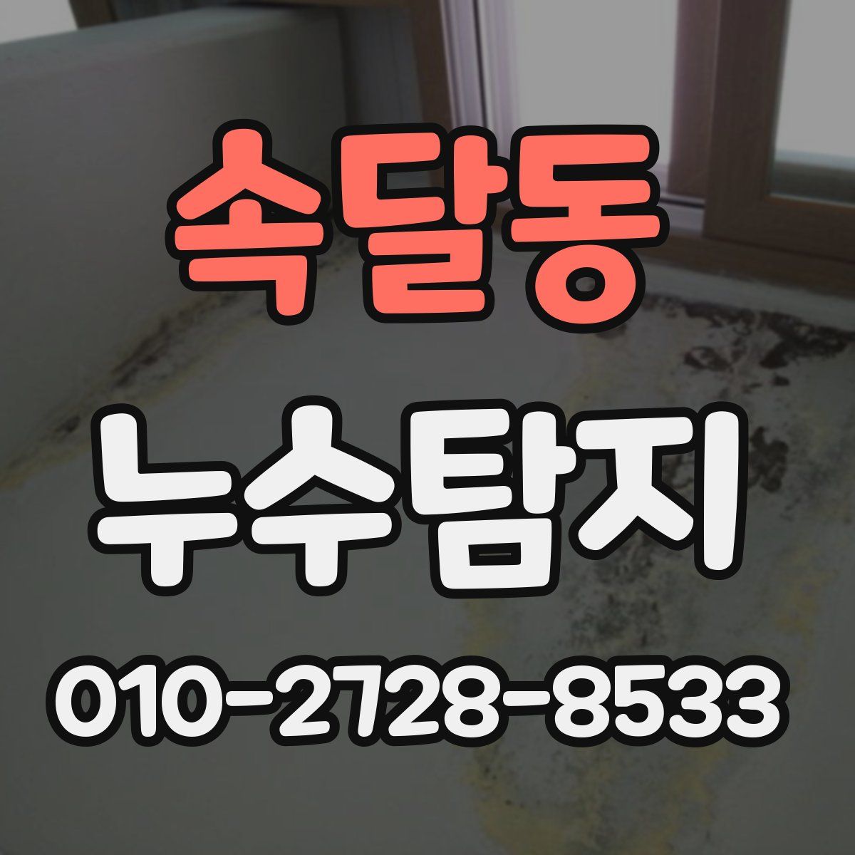 속달동 누수탐지