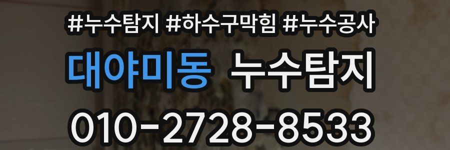 대야미동 누수탐지업체