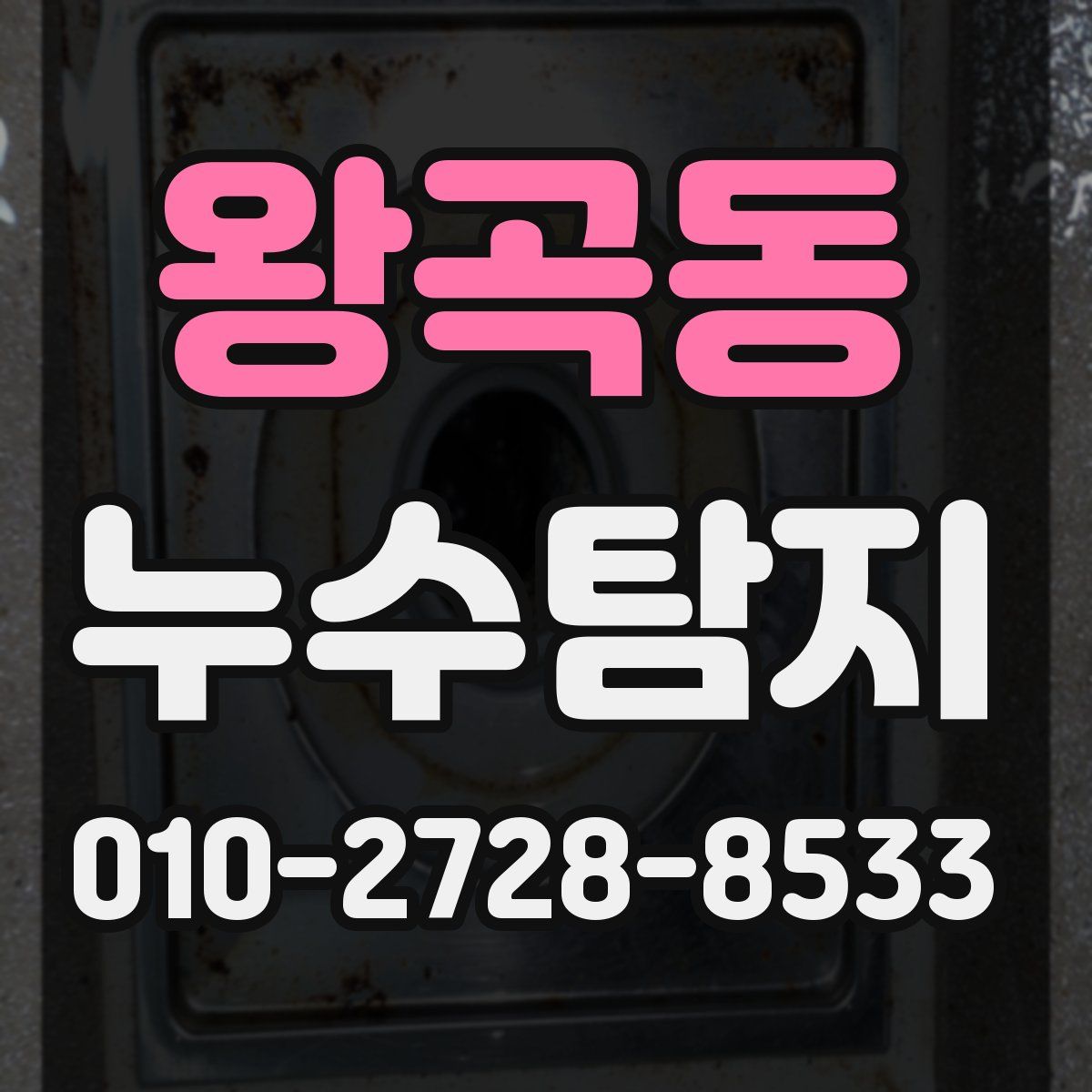 왕곡동 누수탐지