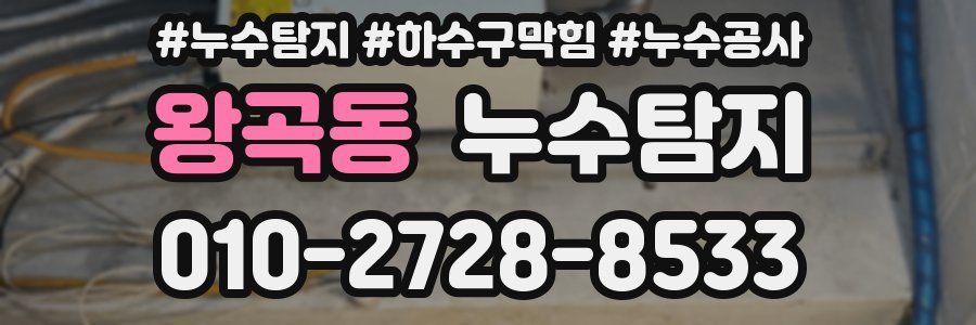 왕곡동 누수탐지업체