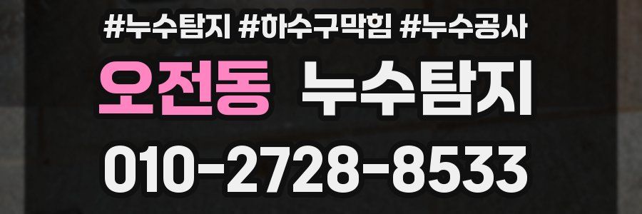 오전동 누수탐지업체