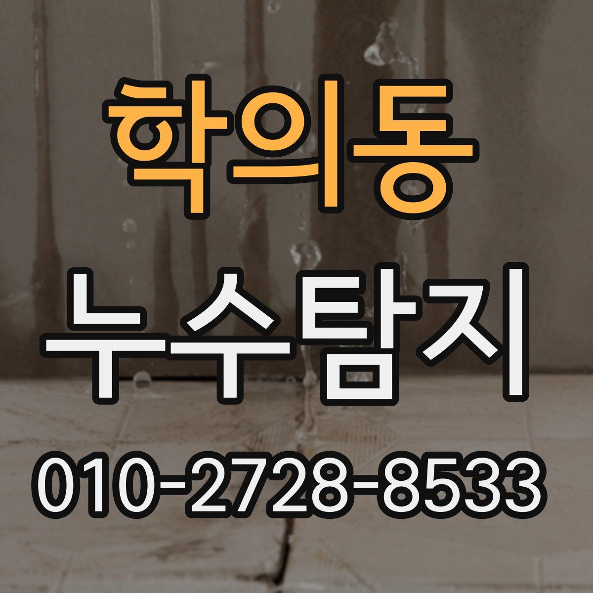 학의동 누수탐지