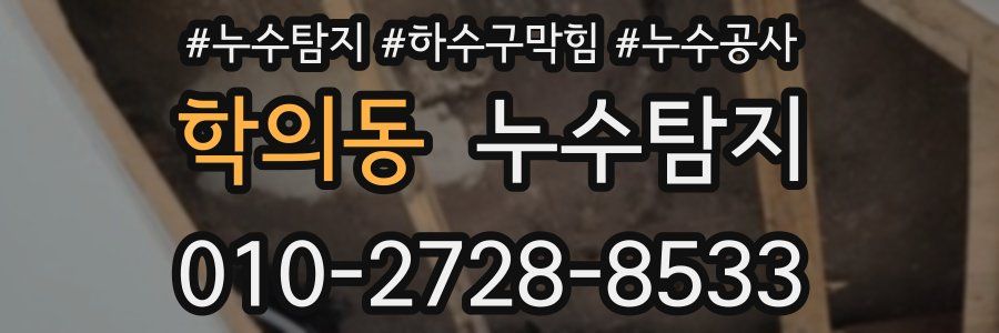 학의동 누수탐지업체