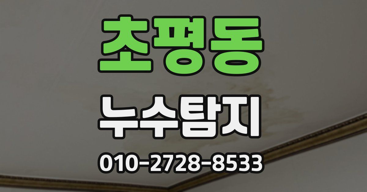 초평동 누수공사