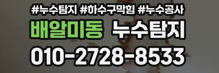 배알미동 누수탐지업체