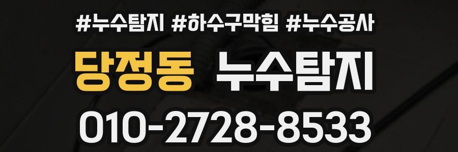 당정동 누수탐지업체
