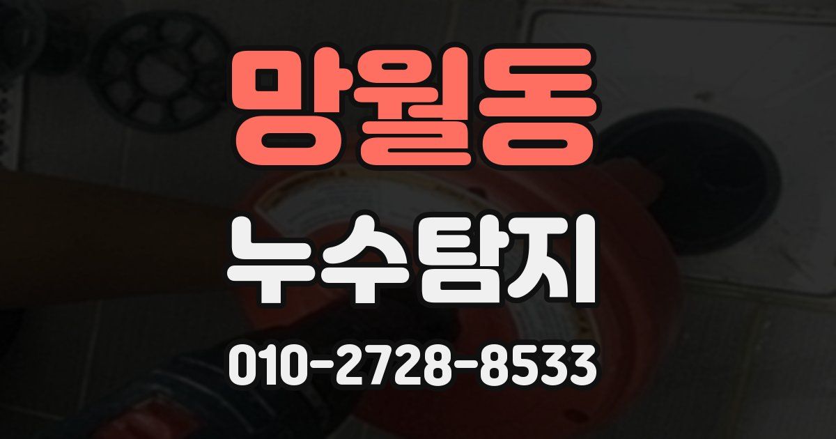 망월동 누수공사