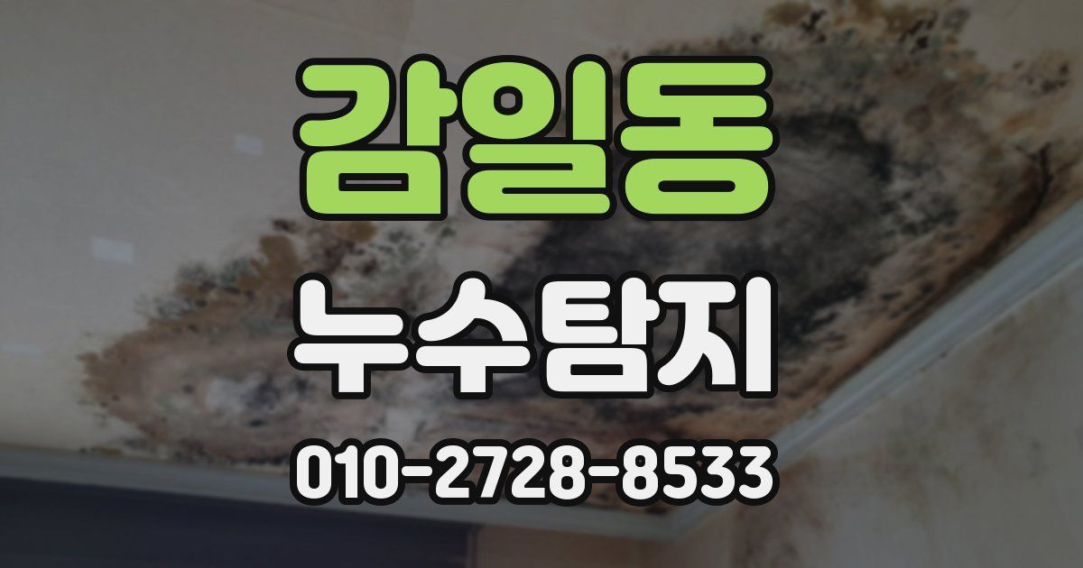 감일동 누수공사