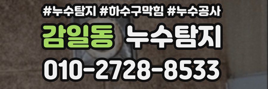 감일동 누수탐지업체